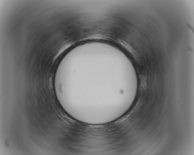 X0000098211258200804241053