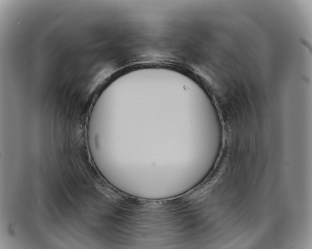 X0000098211259200804241053