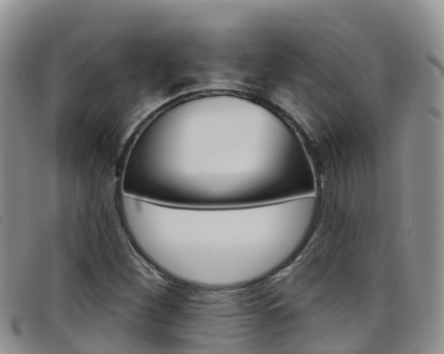 X0000098211260200804241053