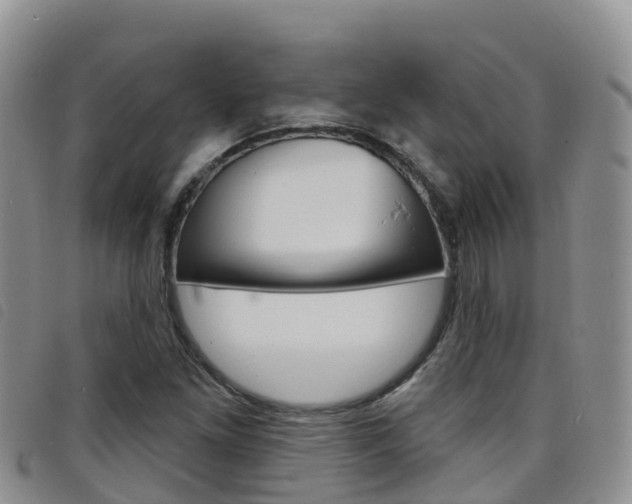 X0000098211261200804241053