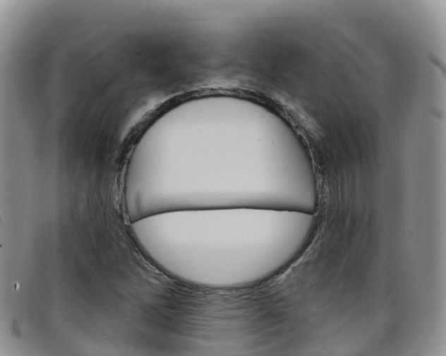 X0000098211262200804241053