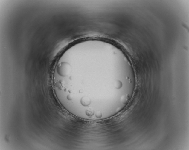 X0000098211263200804241053