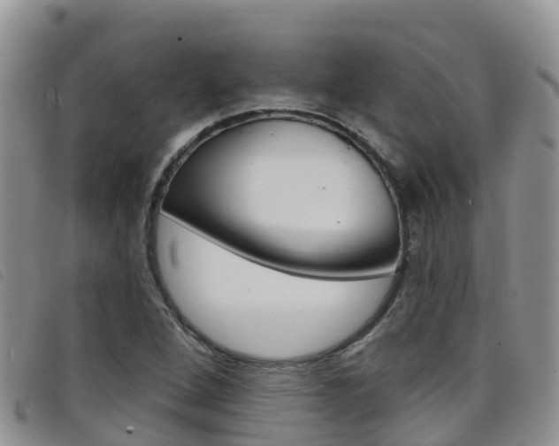 X0000098211264200804241053