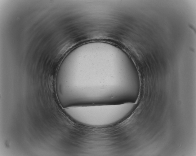 X0000098211265200804241053