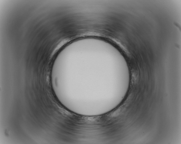 X0000098211266200804241053