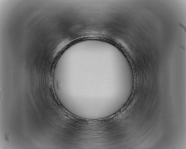X0000098211267200804241053