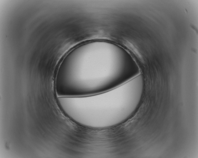 X0000098211268200804241053