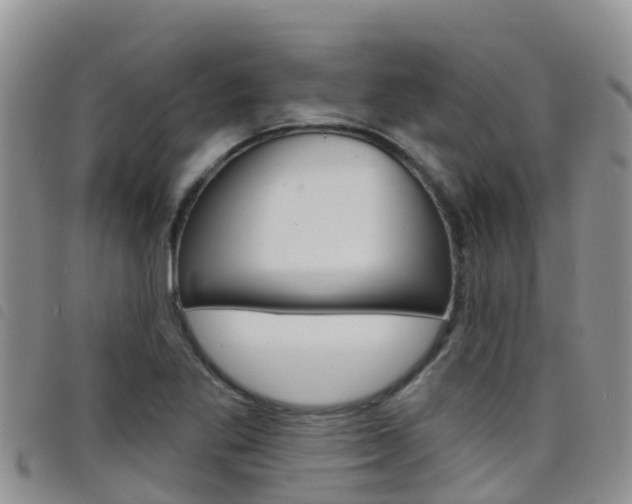 X0000098211269200804241053