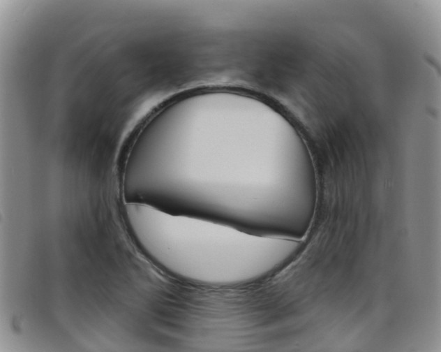 X0000098211270200804241053