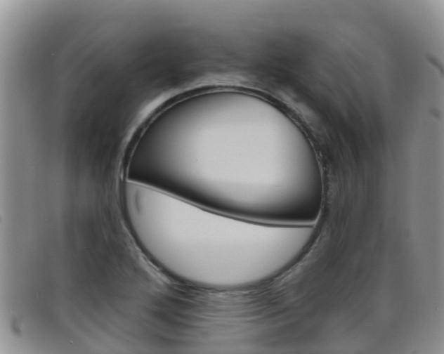 X0000098211272200804241053