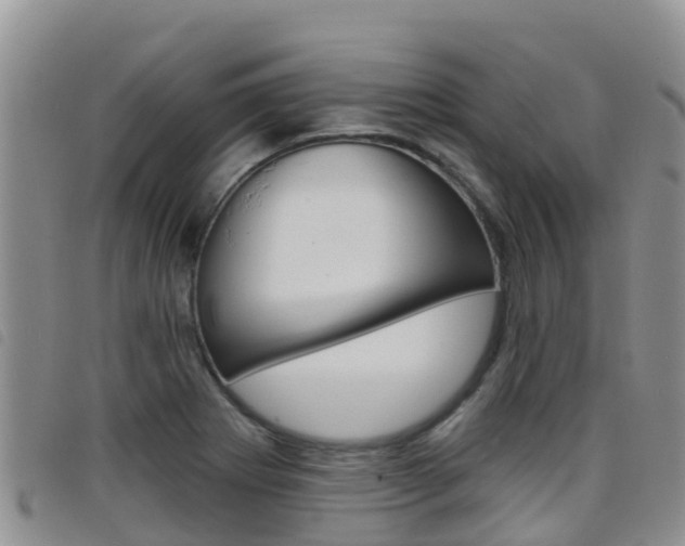 X0000098211273200804241053