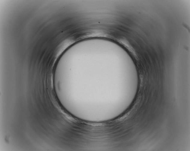 X0000098211274200804241053