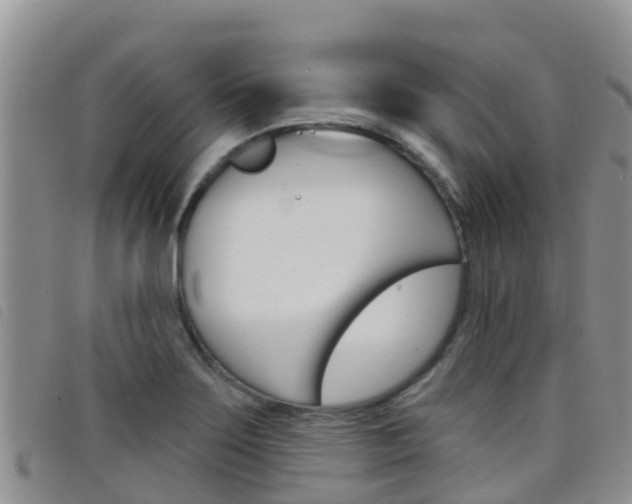 X0000098211275200804241053