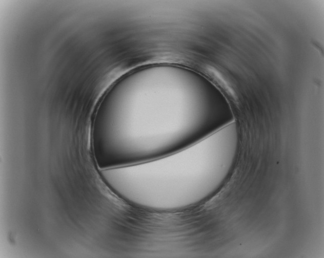 X0000098211276200804241053