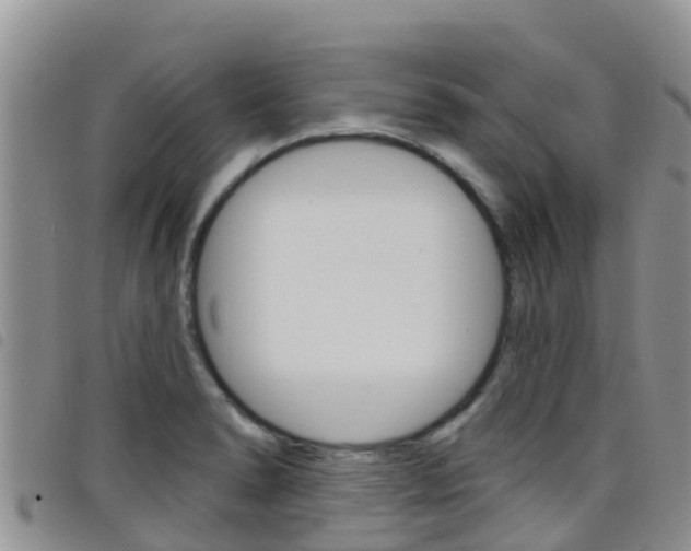 X0000098211278200804241053