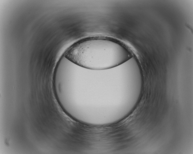 X0000098211279200804241053