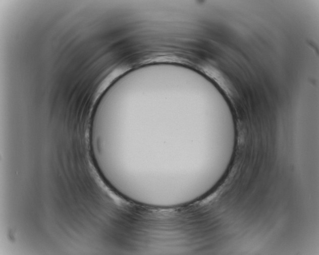 X0000098211282200804241053