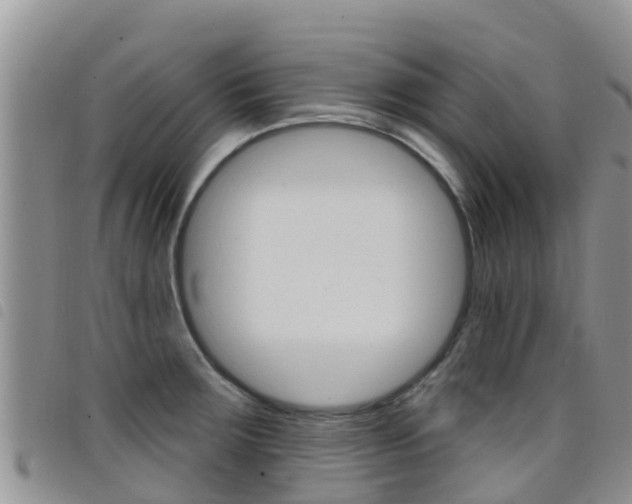 X0000098211283200804241053