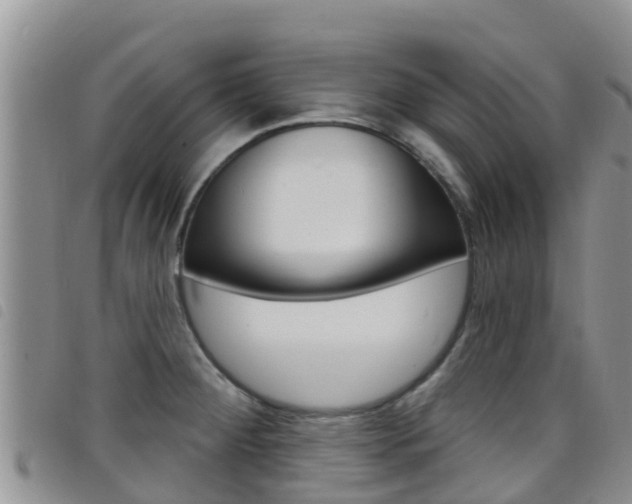 X0000098211284200804241053
