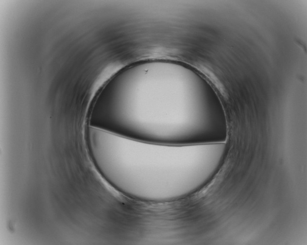 X0000098211285200804241053