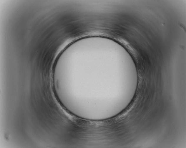 X0000098211286200804241053