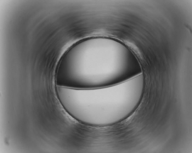 X0000098211288200804241053