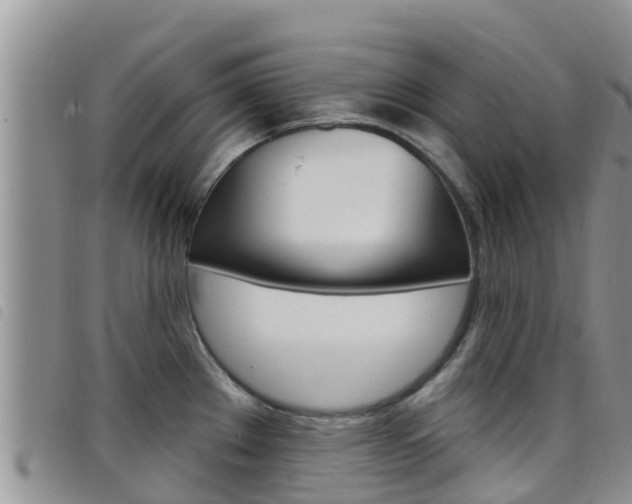 X0000098211289200804241053
