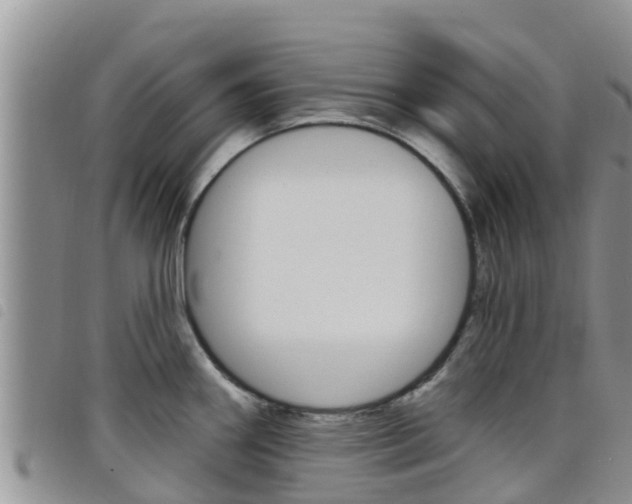X0000098211290200804241053
