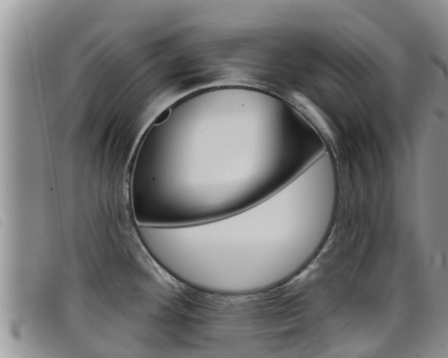 X0000098211292200804241053