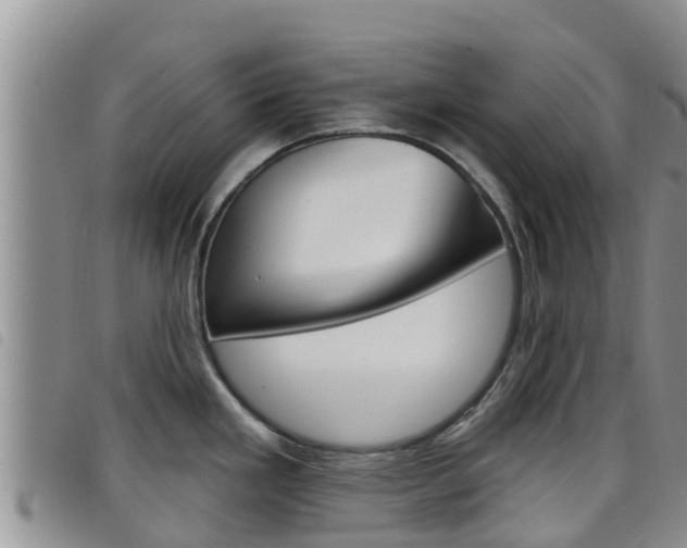 X0000098211293200804241053