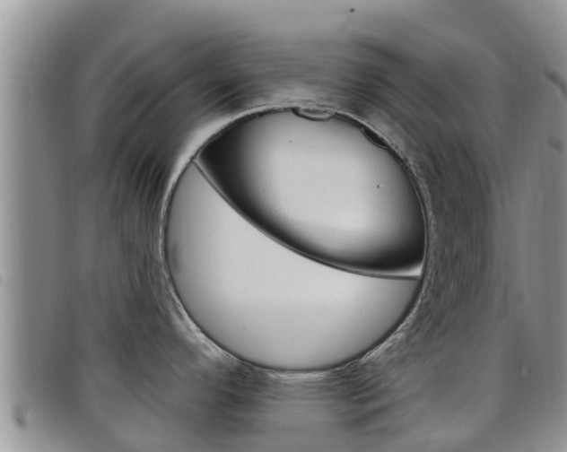 X0000098211296200804241053