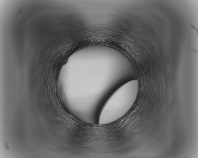X0000098211297200804241052