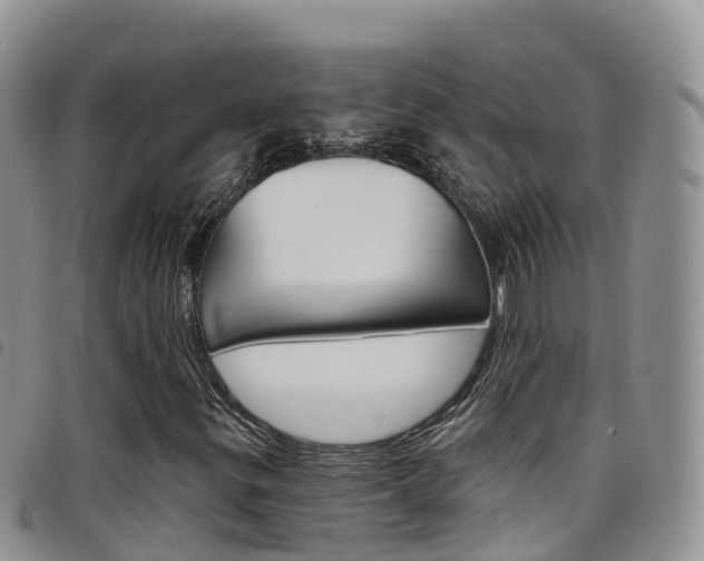 X0000098211299200804241052