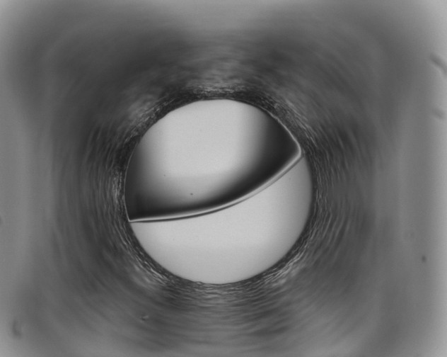 X0000098211300200804241052