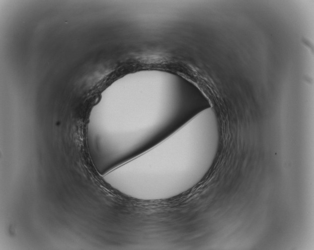 X0000098211301200804241052