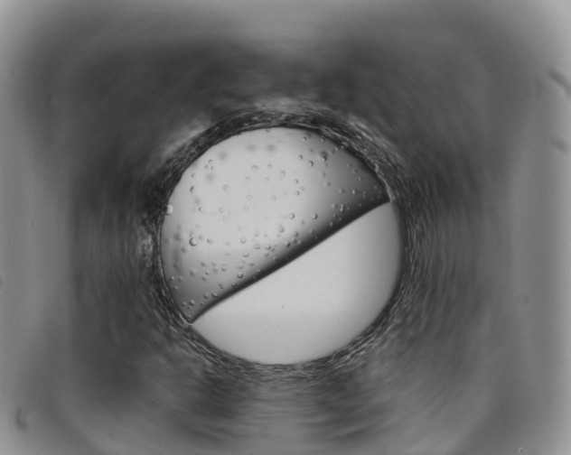 X0000098211302200804241052