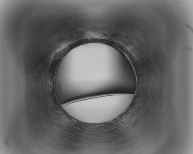X0000098211303200804241052