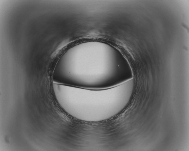 X0000098211304200804241052