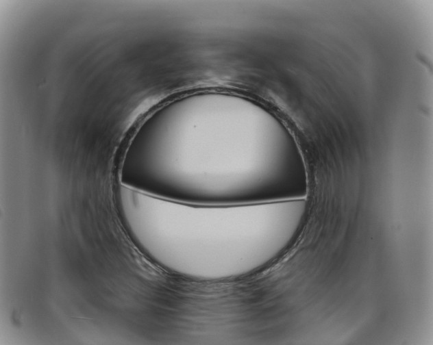 X0000098211308200804241052