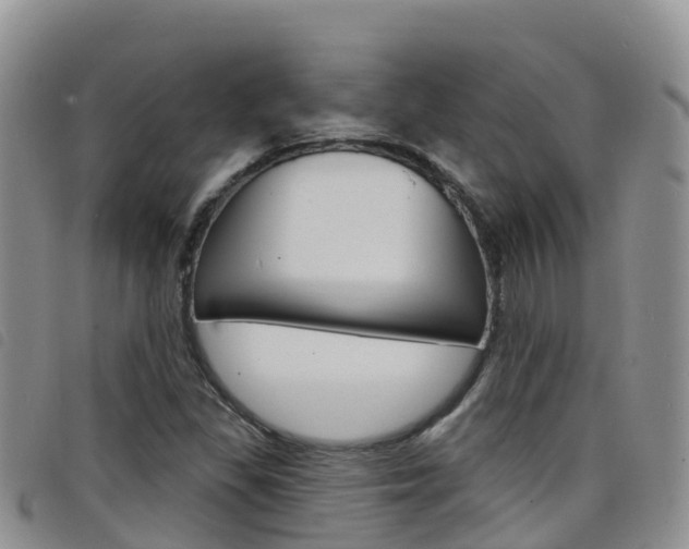 X0000098211309200804241052