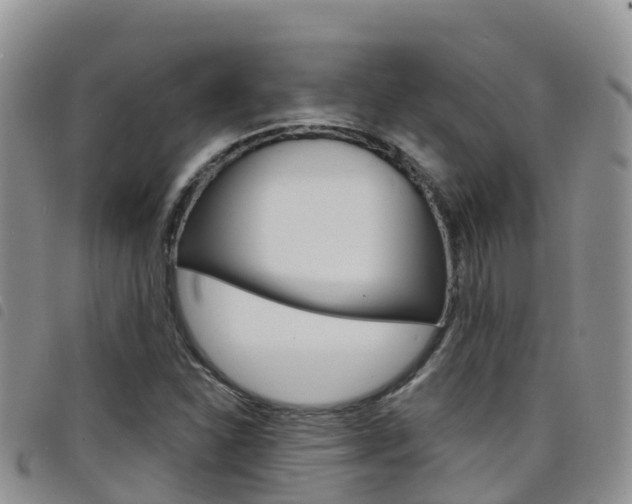 X0000098211310200804241052