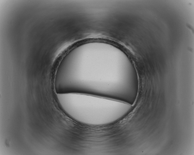 X0000098211311200804241052