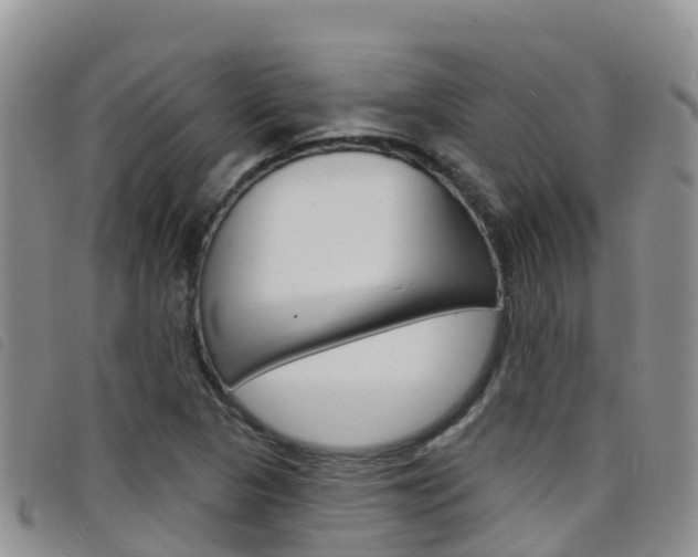 X0000098211313200804241052