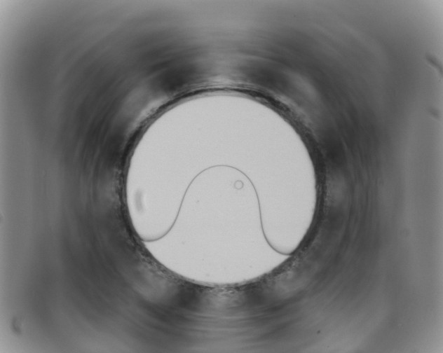 X0000098211314200804241052