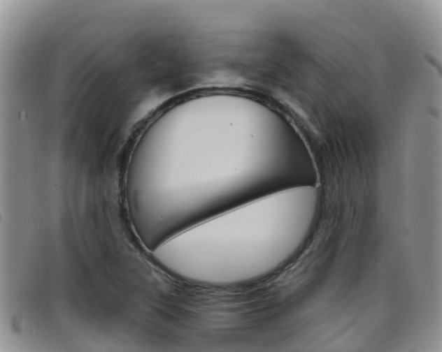 X0000098211315200804241052