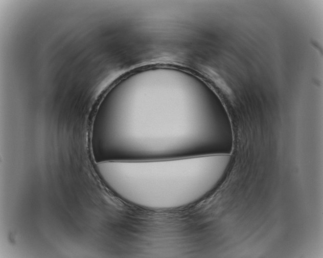 X0000098211316200804241052