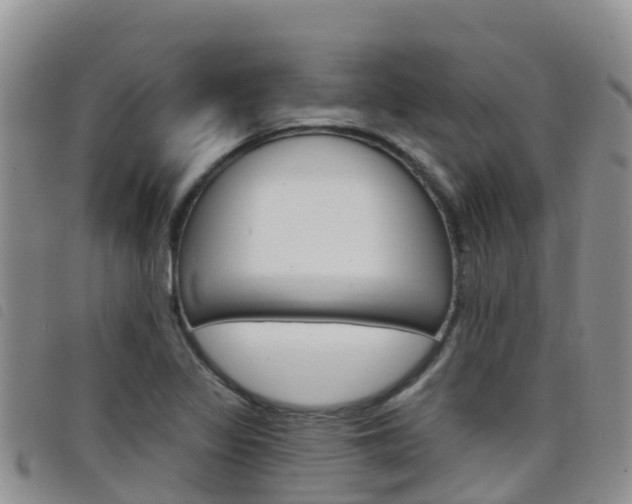 X0000098211317200804241053