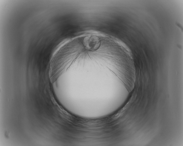 X0000098211318200804241053