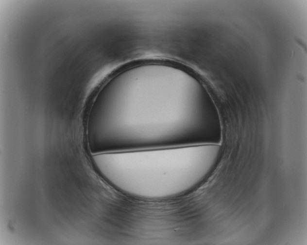 X0000098211319200804241053
