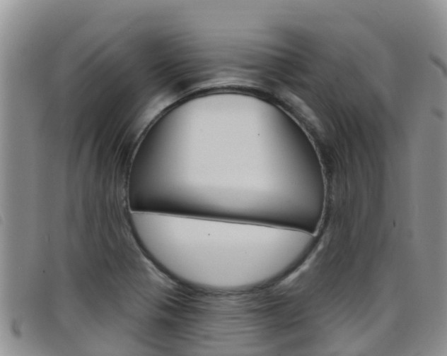 X0000098211321200804241053